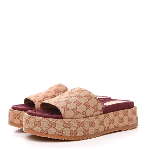 gucci platform sandals cheap|gucci platform sandals sale clearance.